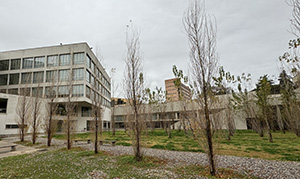 IHSI 2024 Palermo, Italy