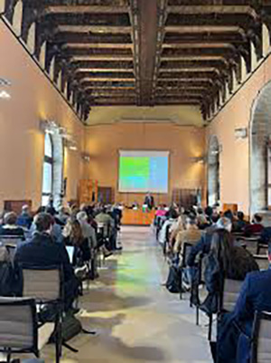 IHSI 2024 Palermo, Italy